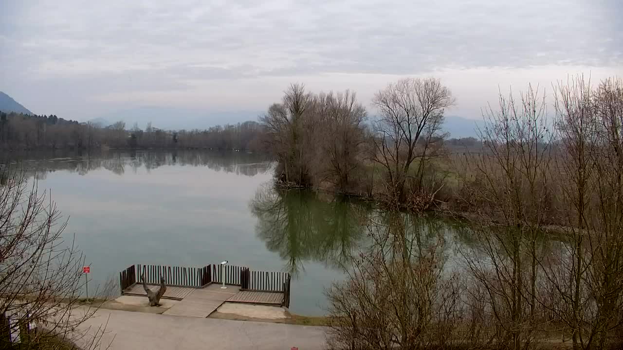 Webcam Ribnik Vrbje – Žalec