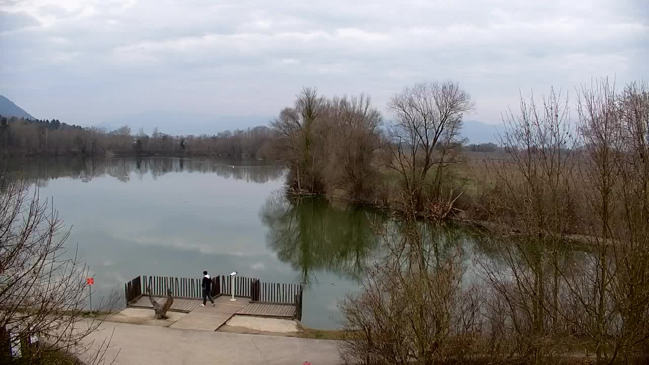 Webcam Ribnik Vrbje – Žalec