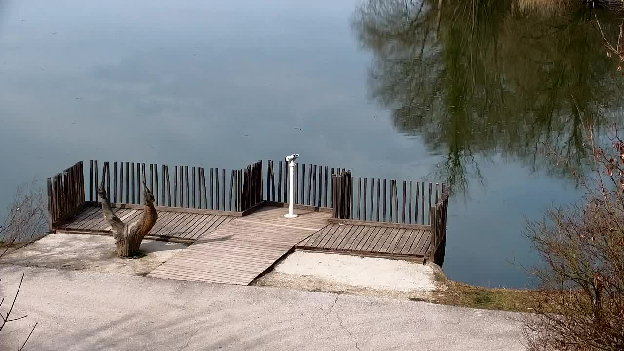 Webcam Ribnik Vrbje – Žalec