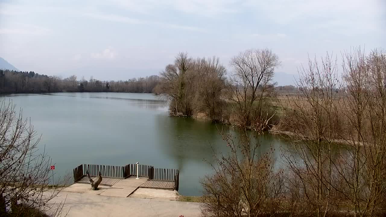 Webcam Ribnik Vrbje – Žalec