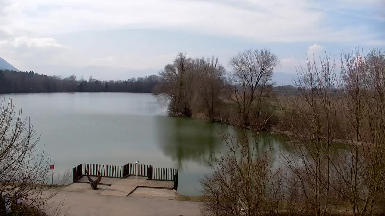 Spletna kamera Ribnik Vrbje – Žalec