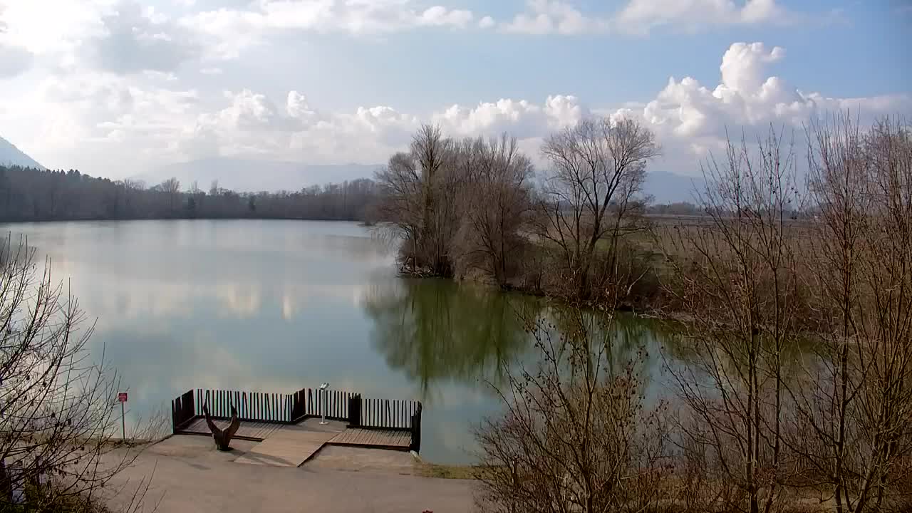 Webcam Ribnik Vrbje – Žalec