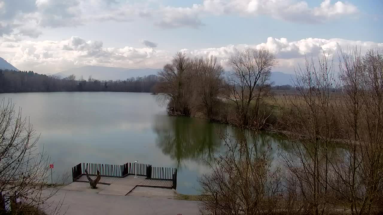 Webcam Ribnik Vrbje – Žalec