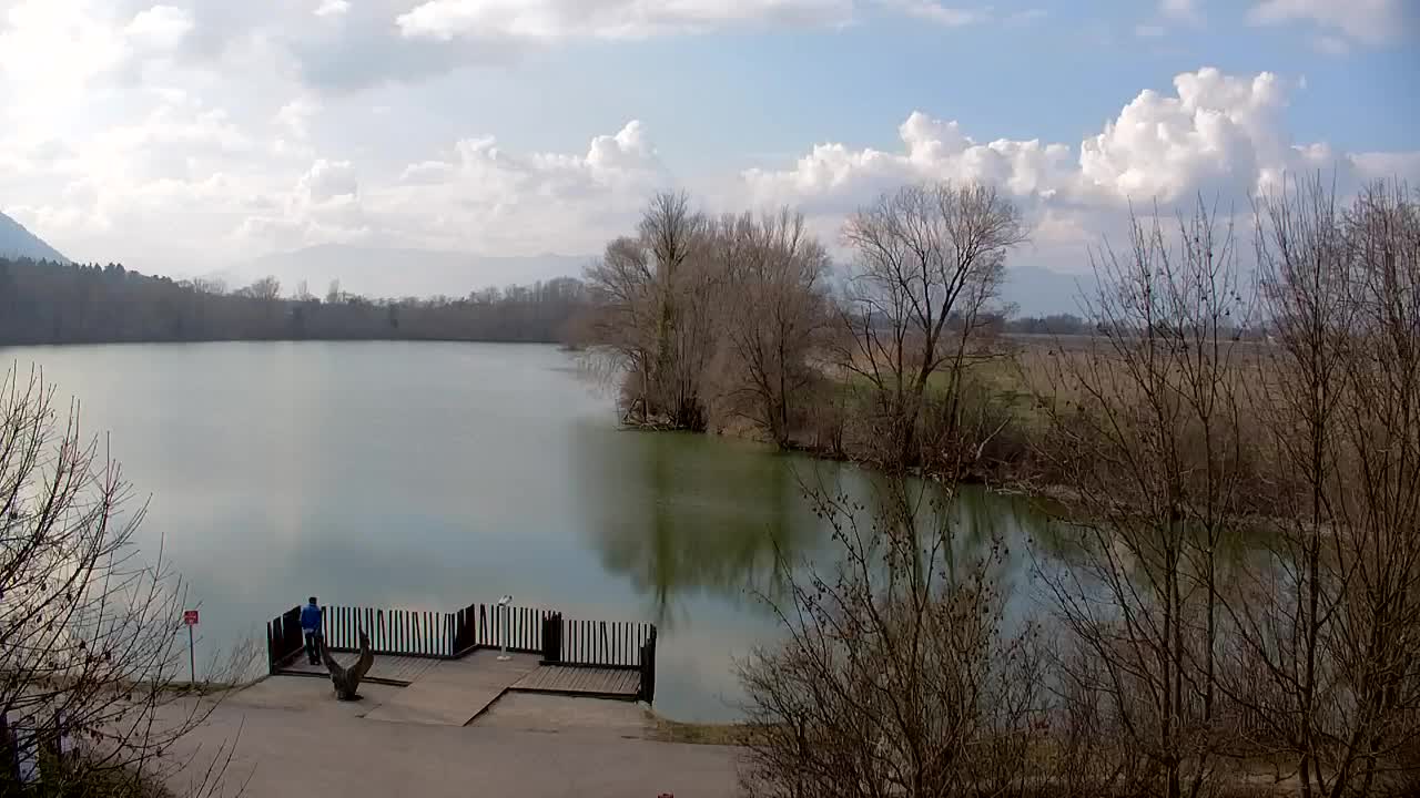 Webcam Ribnik Vrbje – Žalec