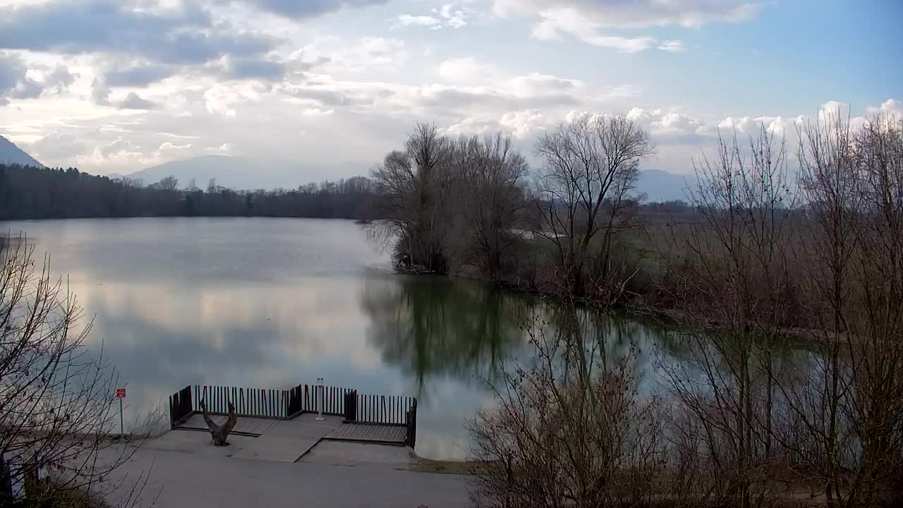 Spletna kamera Ribnik Vrbje – Žalec