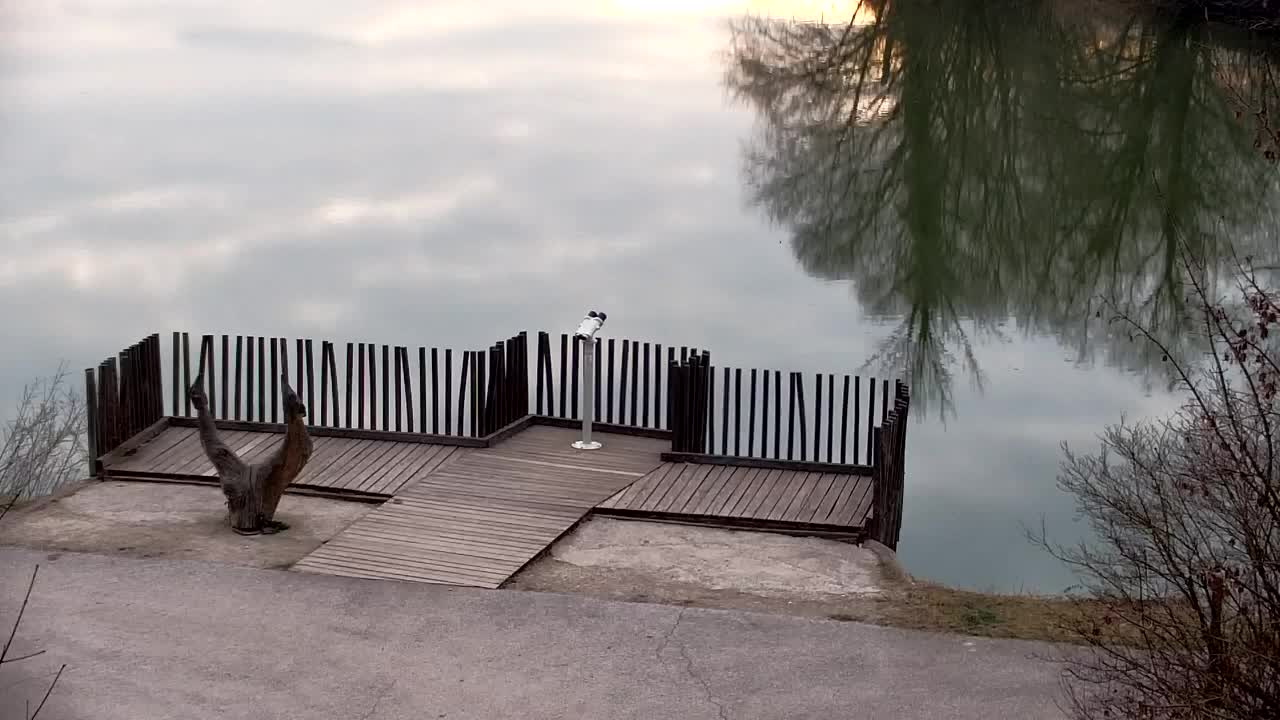 Spletna kamera Ribnik Vrbje – Žalec