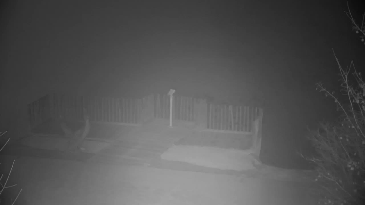 Spletna kamera Ribnik Vrbje – Žalec