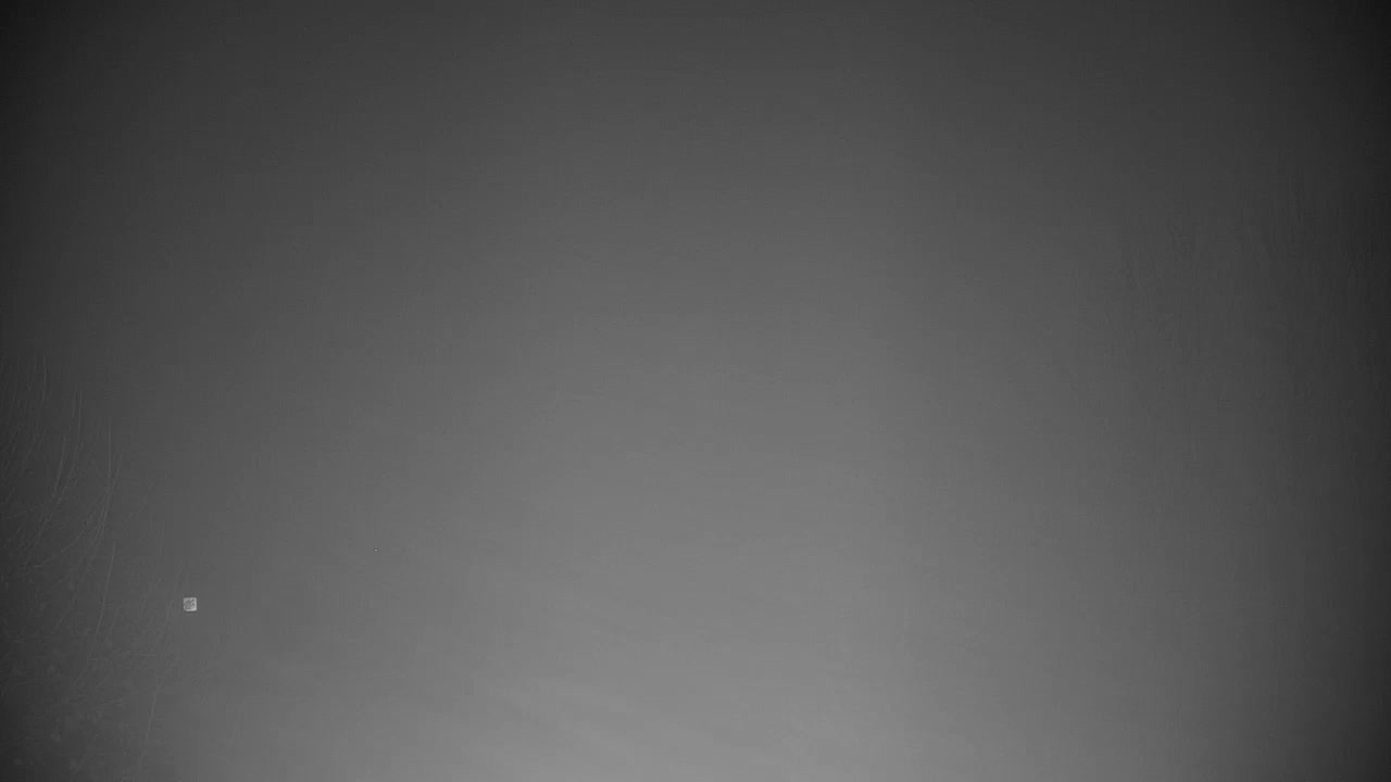 Web kamera Ribnik Vrbje – Žalec