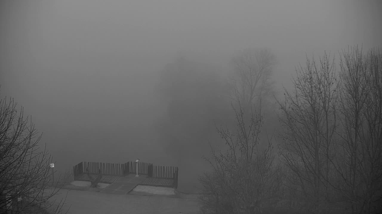 Webcam Ribnik Vrbje – Žalec