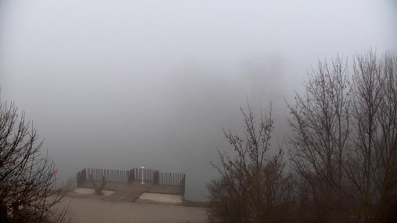 Spletna kamera Ribnik Vrbje – Žalec