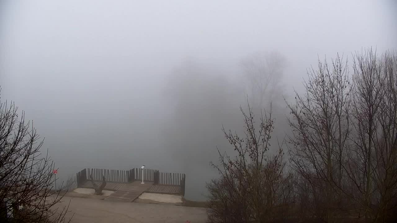 Web kamera Ribnik Vrbje – Žalec