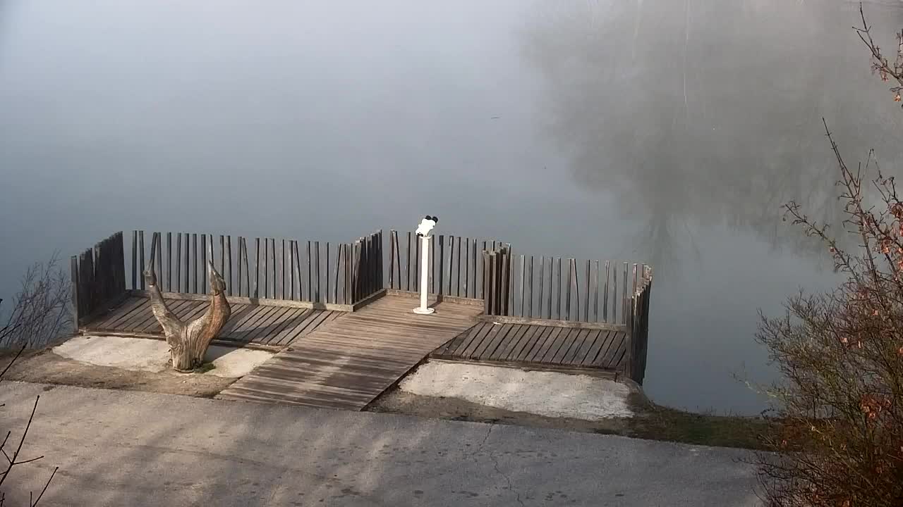 Webcam Ribnik Vrbje – Žalec