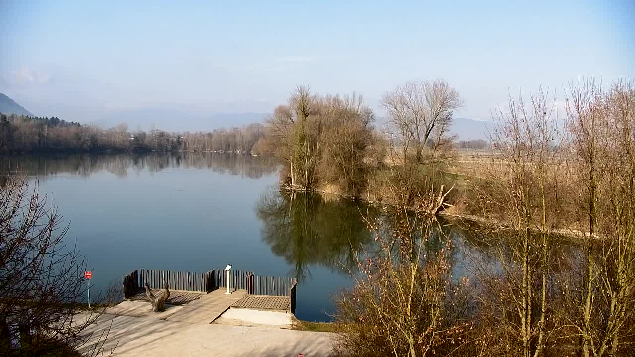 Webcam Ribnik Vrbje – Žalec