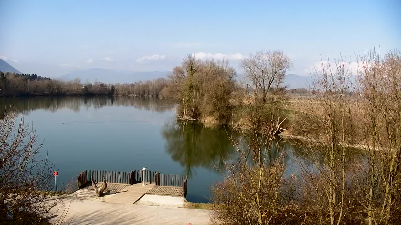 Webcam Ribnik Vrbje – Žalec