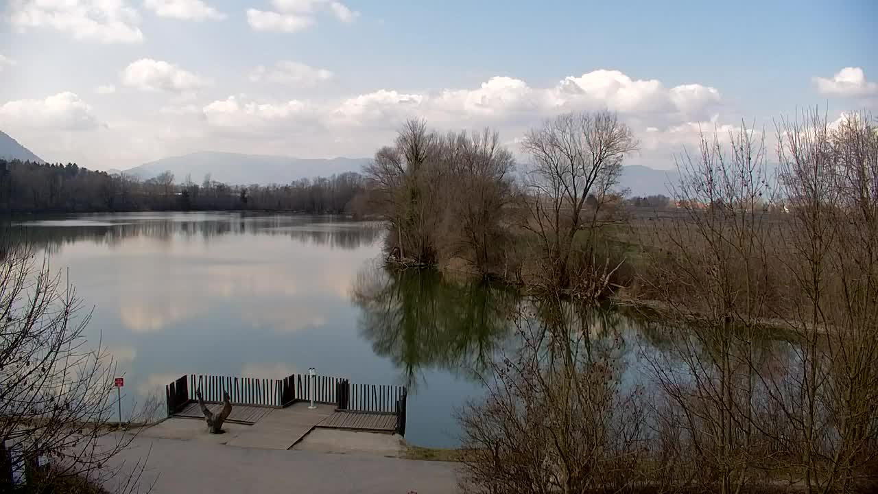 Webcam Ribnik Vrbje – Žalec