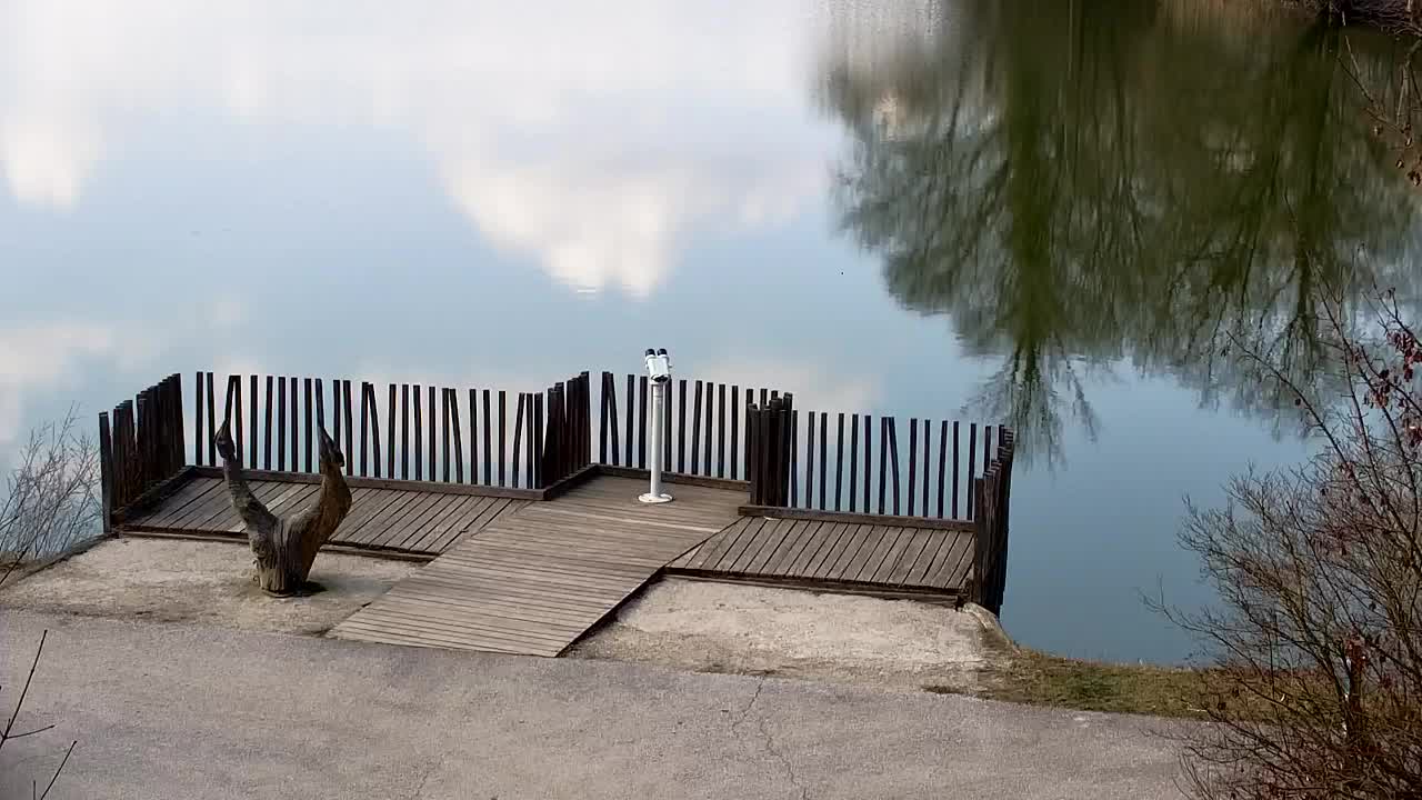 Webcam Ribnik Vrbje – Žalec