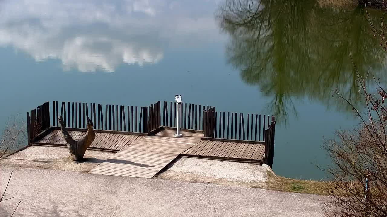 Webcam Ribnik Vrbje – Žalec