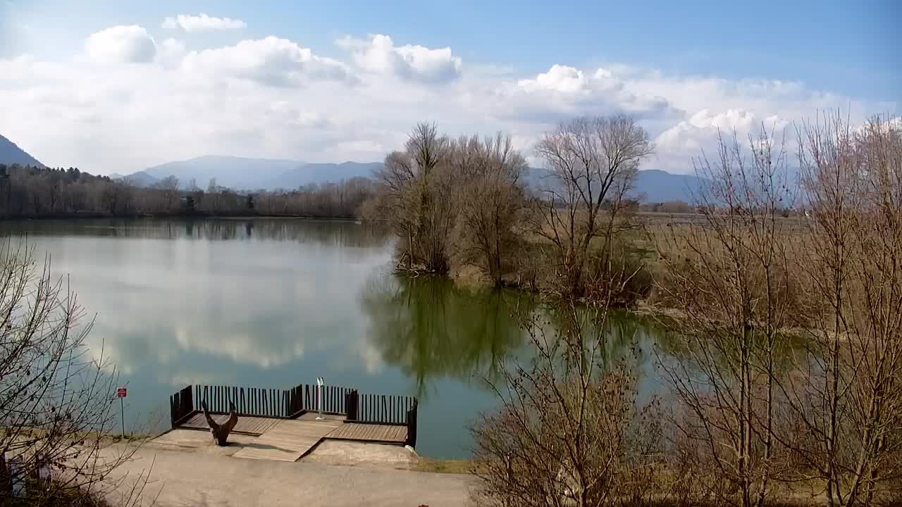 Spletna kamera Ribnik Vrbje – Žalec