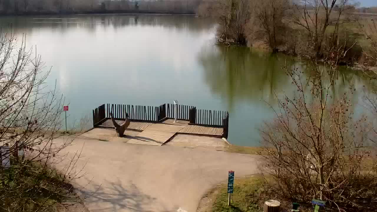 Webcam Ribnik Vrbje – Žalec