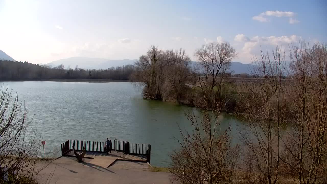 Webcam Ribnik Vrbje – Žalec
