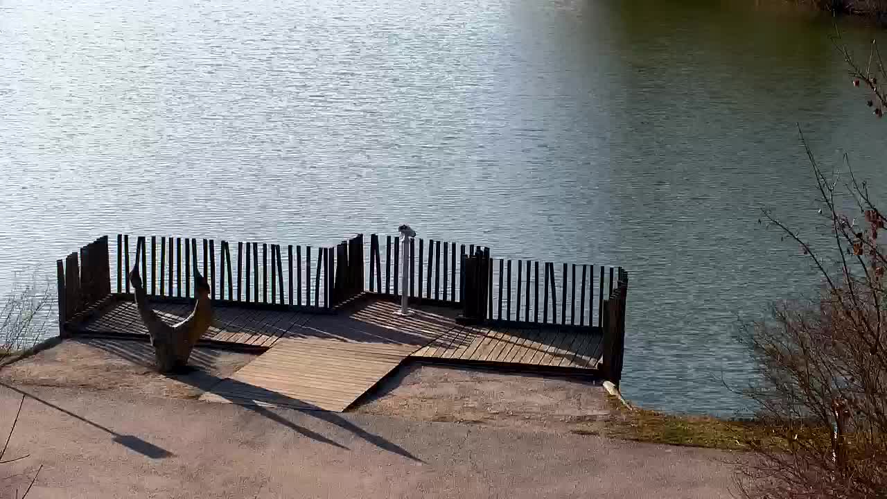 Webcam Ribnik Vrbje – Žalec