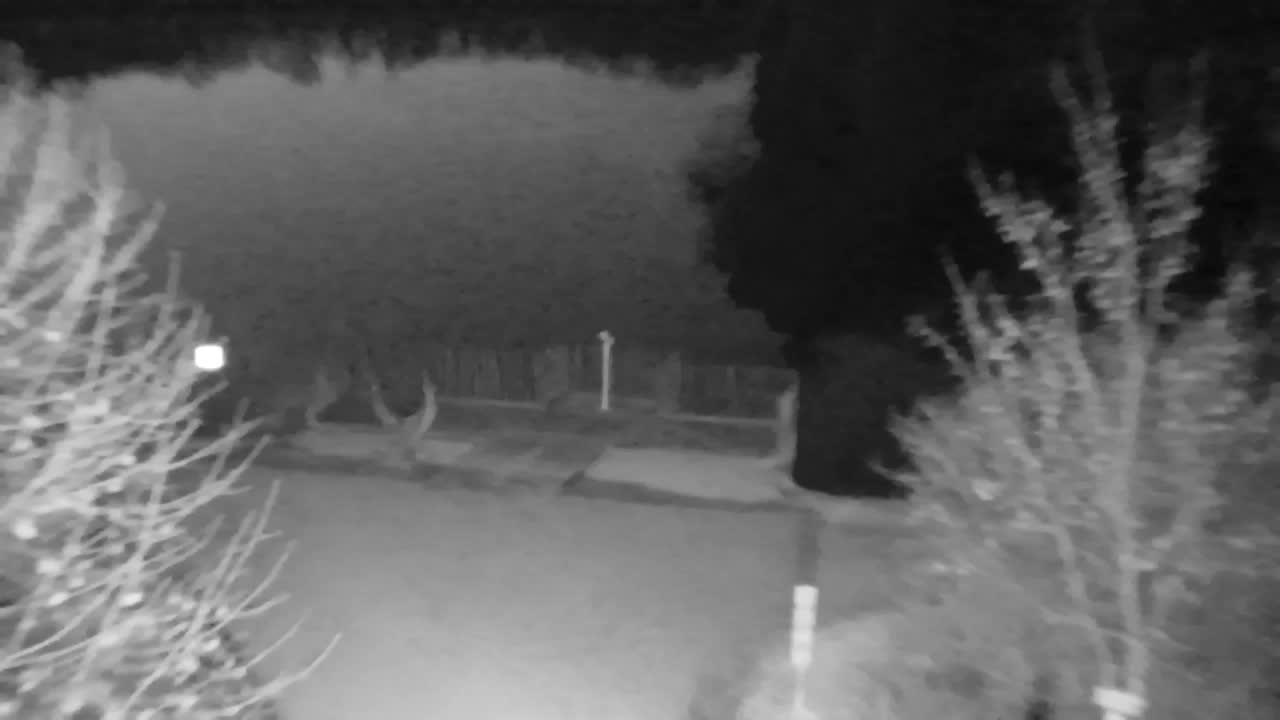 Webcam Ribnik Vrbje – Žalec