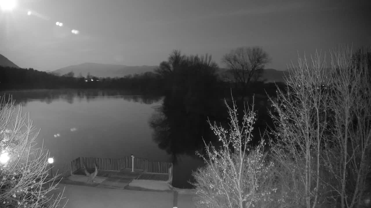 Web kamera Ribnik Vrbje – Žalec