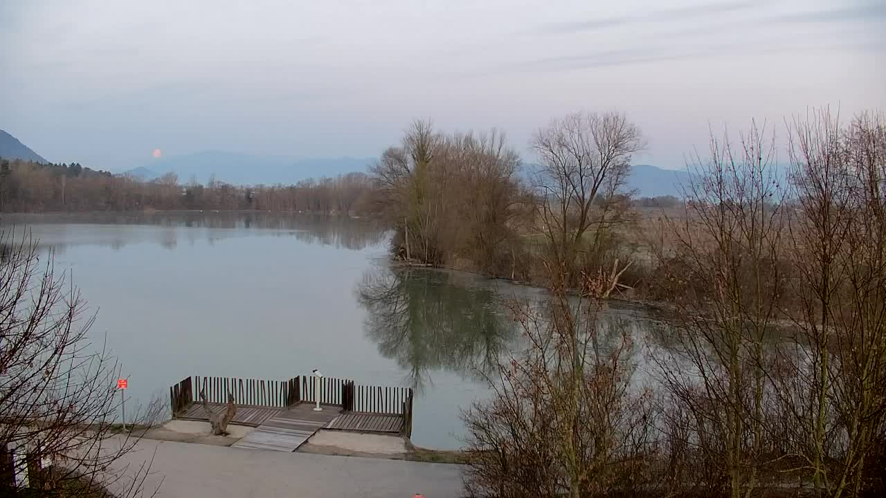 Webcam Ribnik Vrbje – Žalec