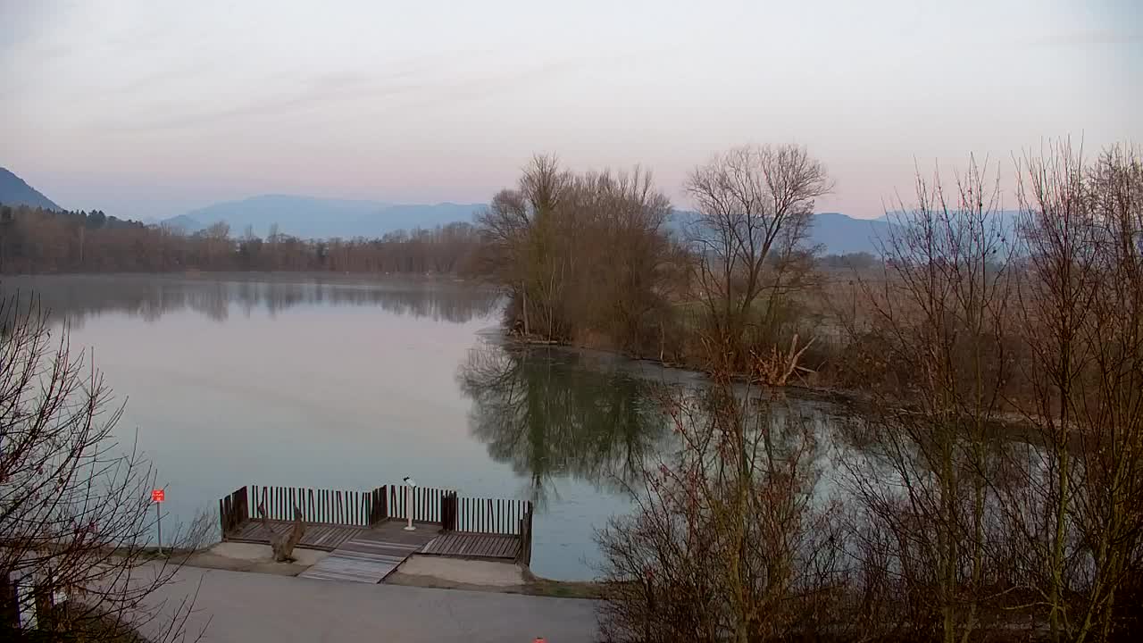 Webcam Ribnik Vrbje – Žalec