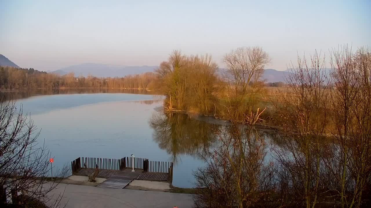 Spletna kamera Ribnik Vrbje – Žalec