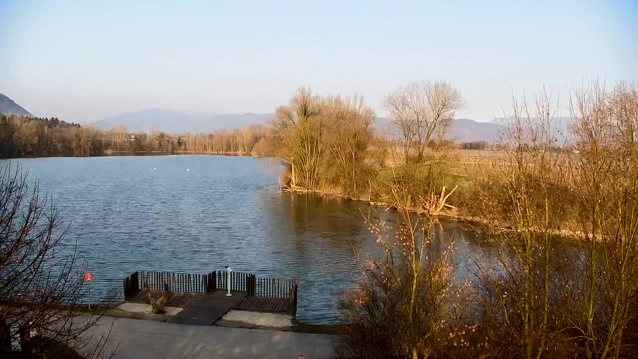 Spletna kamera Ribnik Vrbje – Žalec