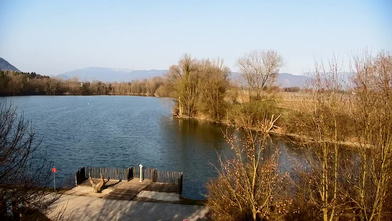 Webcam Ribnik Vrbje – Žalec