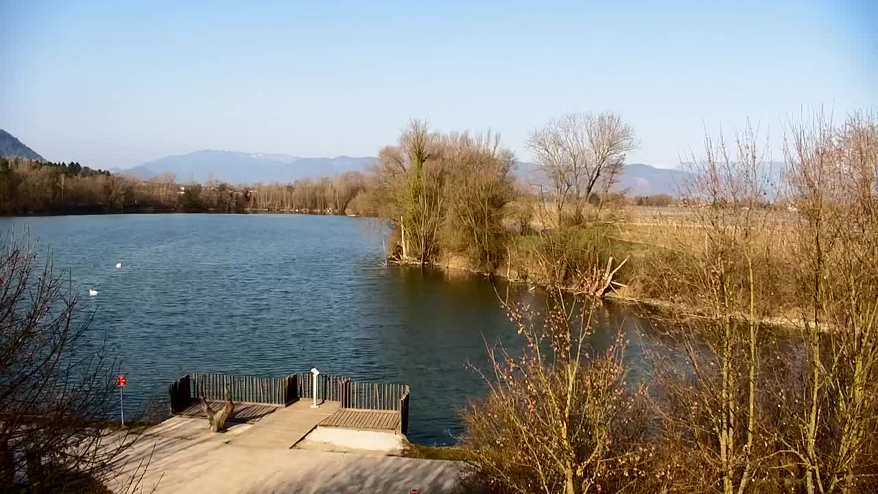 Spletna kamera Ribnik Vrbje – Žalec