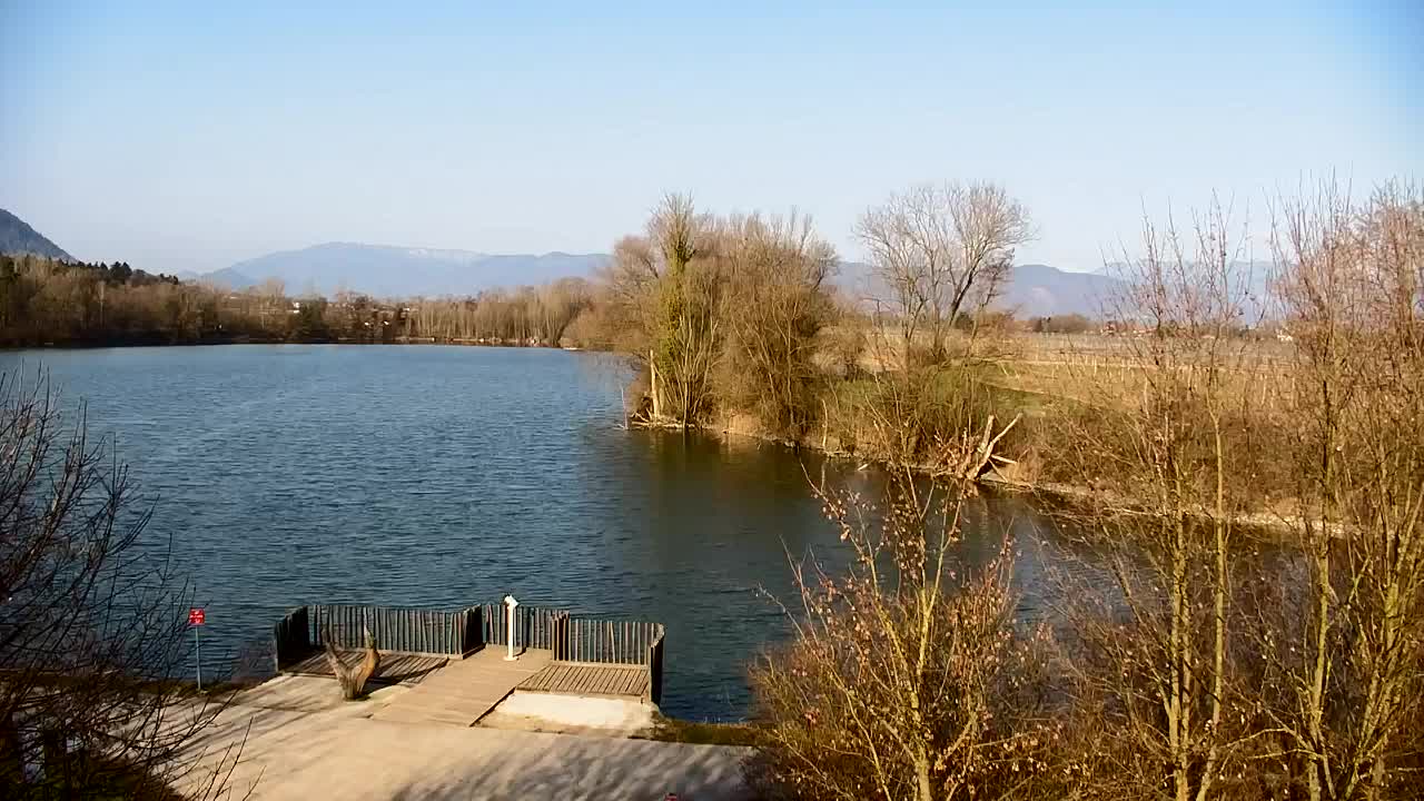 Spletna kamera Ribnik Vrbje – Žalec