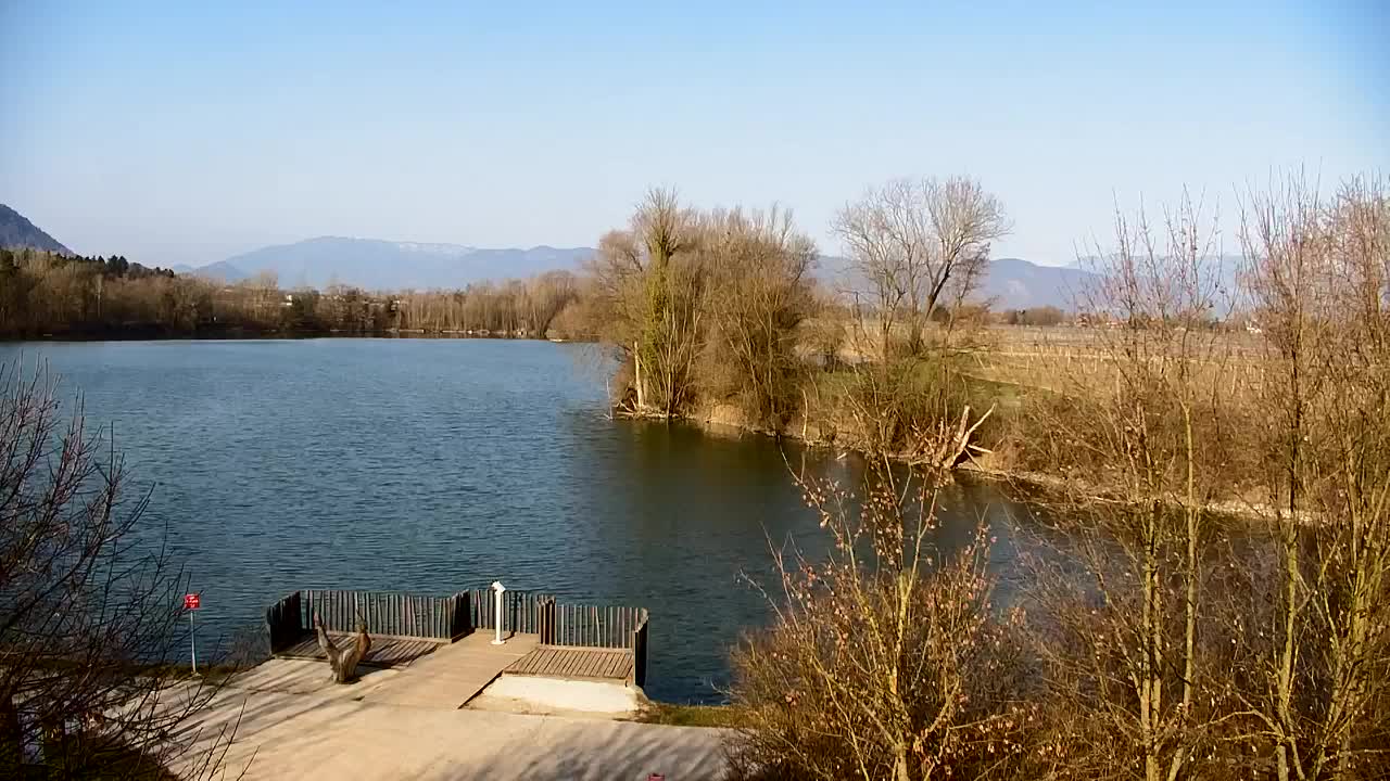 Spletna kamera Ribnik Vrbje – Žalec