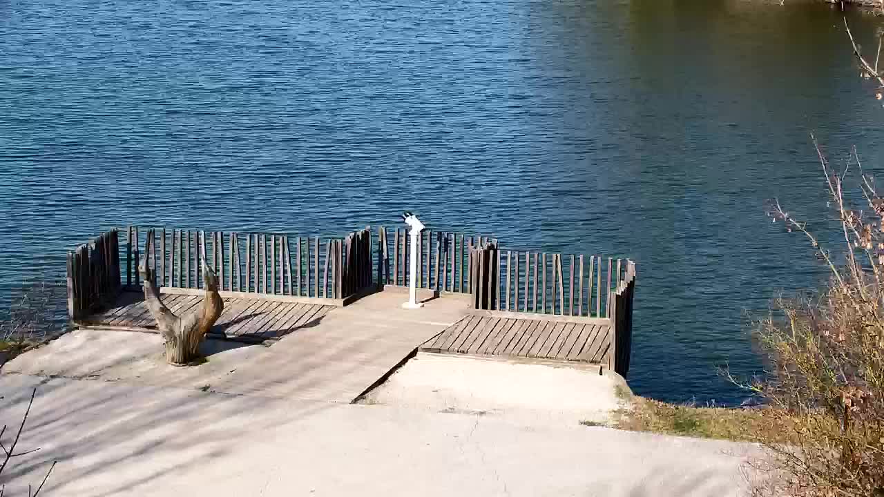 Webcam Ribnik Vrbje – Žalec