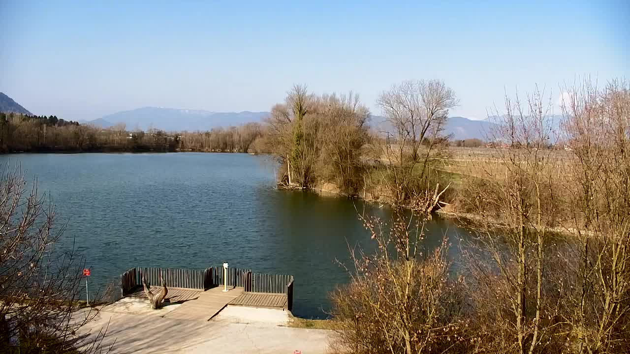 Webcam Ribnik Vrbje – Žalec