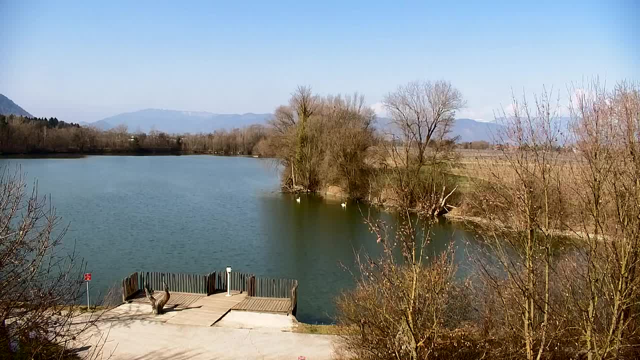 Spletna kamera Ribnik Vrbje – Žalec