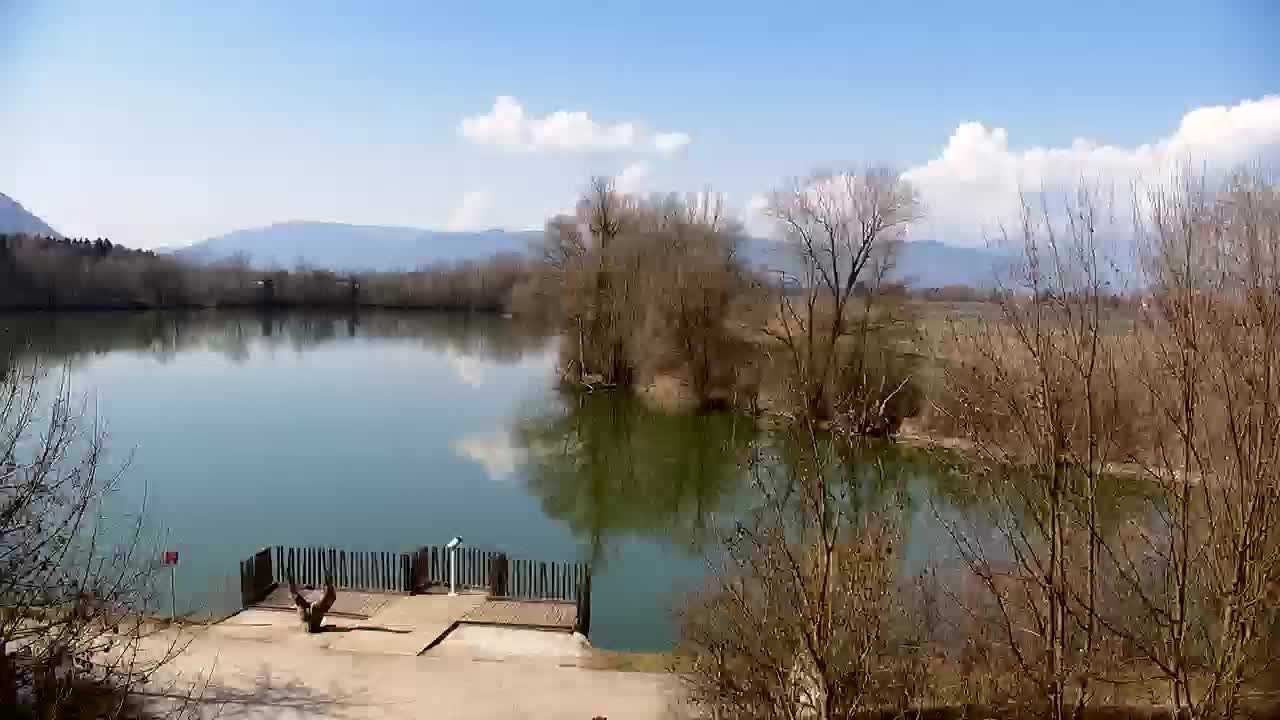 Web kamera Ribnik Vrbje – Žalec