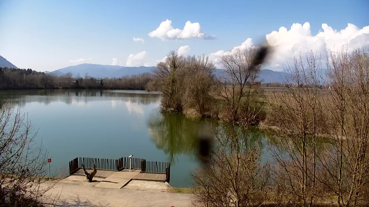 Webcam Ribnik Vrbje – Žalec