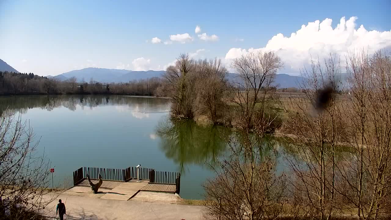 Webcam Ribnik Vrbje – Žalec