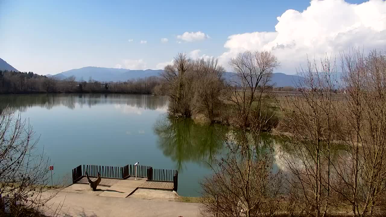 Webcam Ribnik Vrbje – Žalec