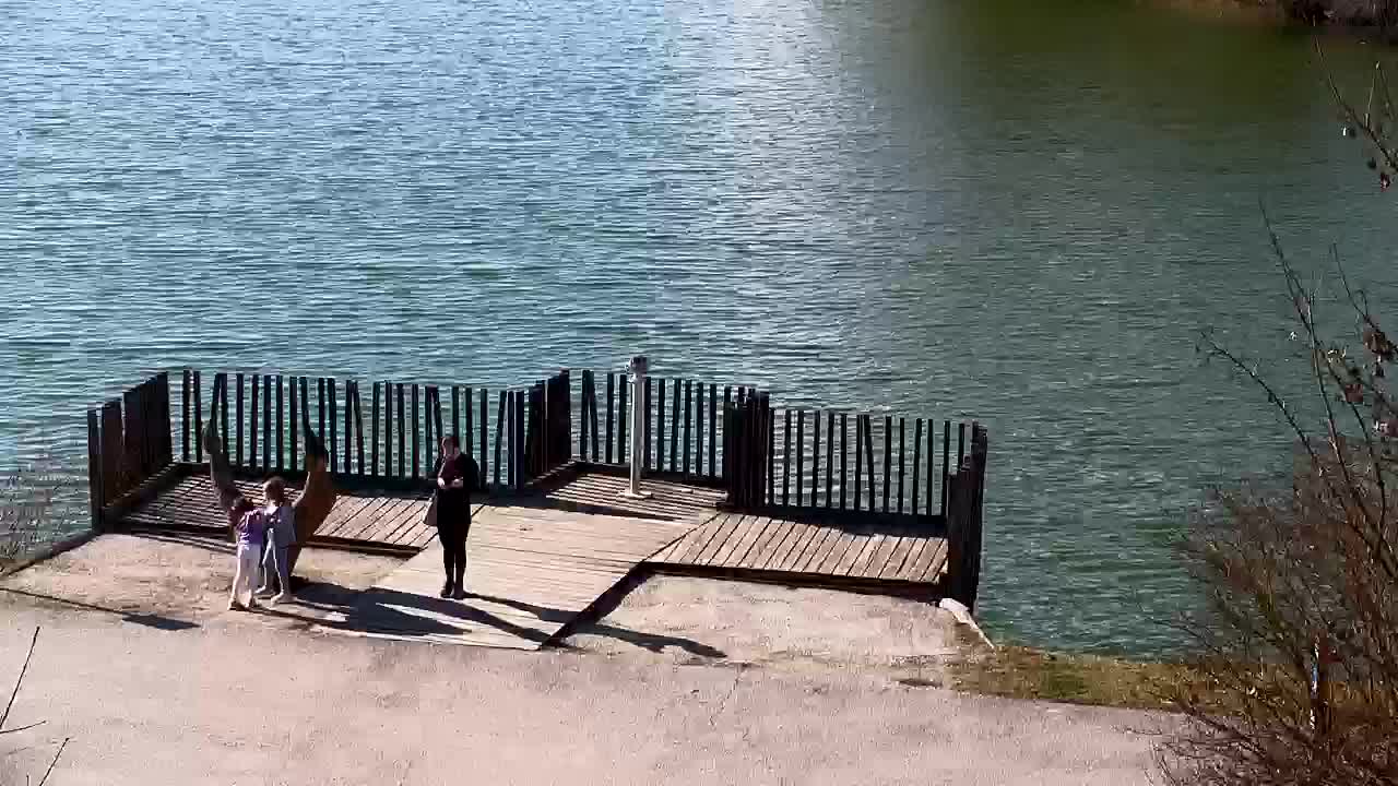 Webcam Ribnik Vrbje – Žalec