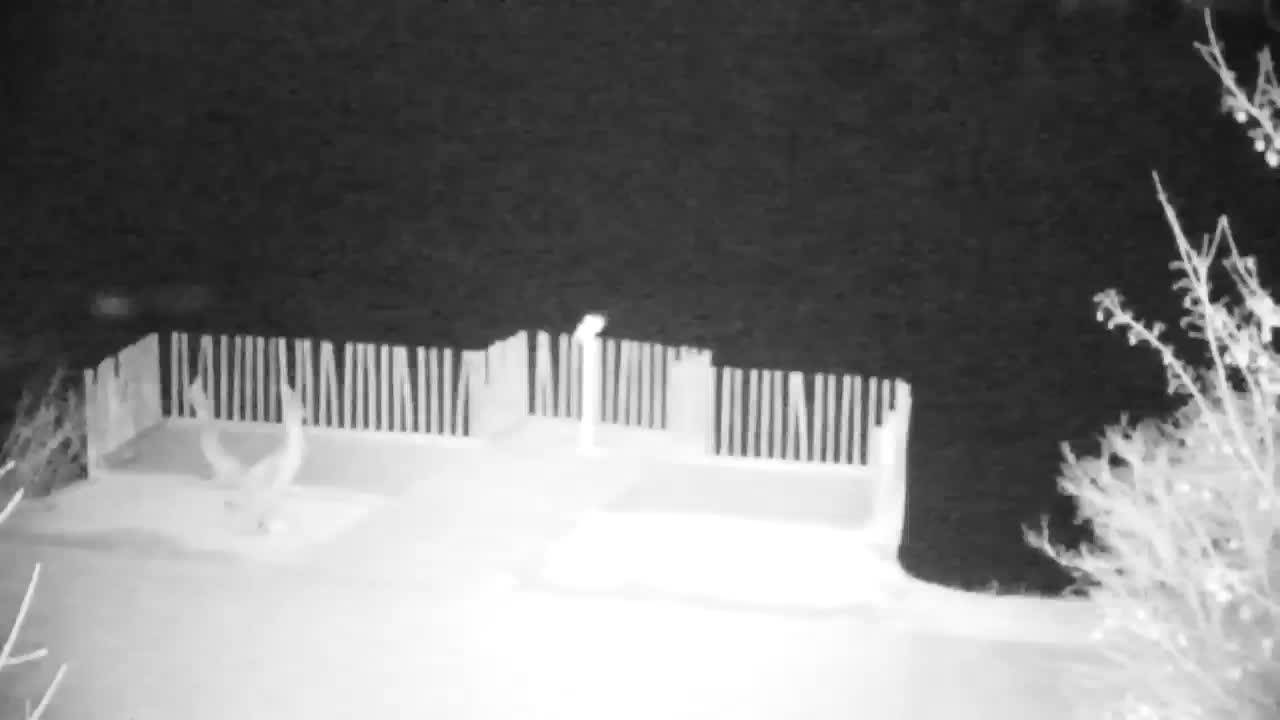 Spletna kamera Ribnik Vrbje – Žalec