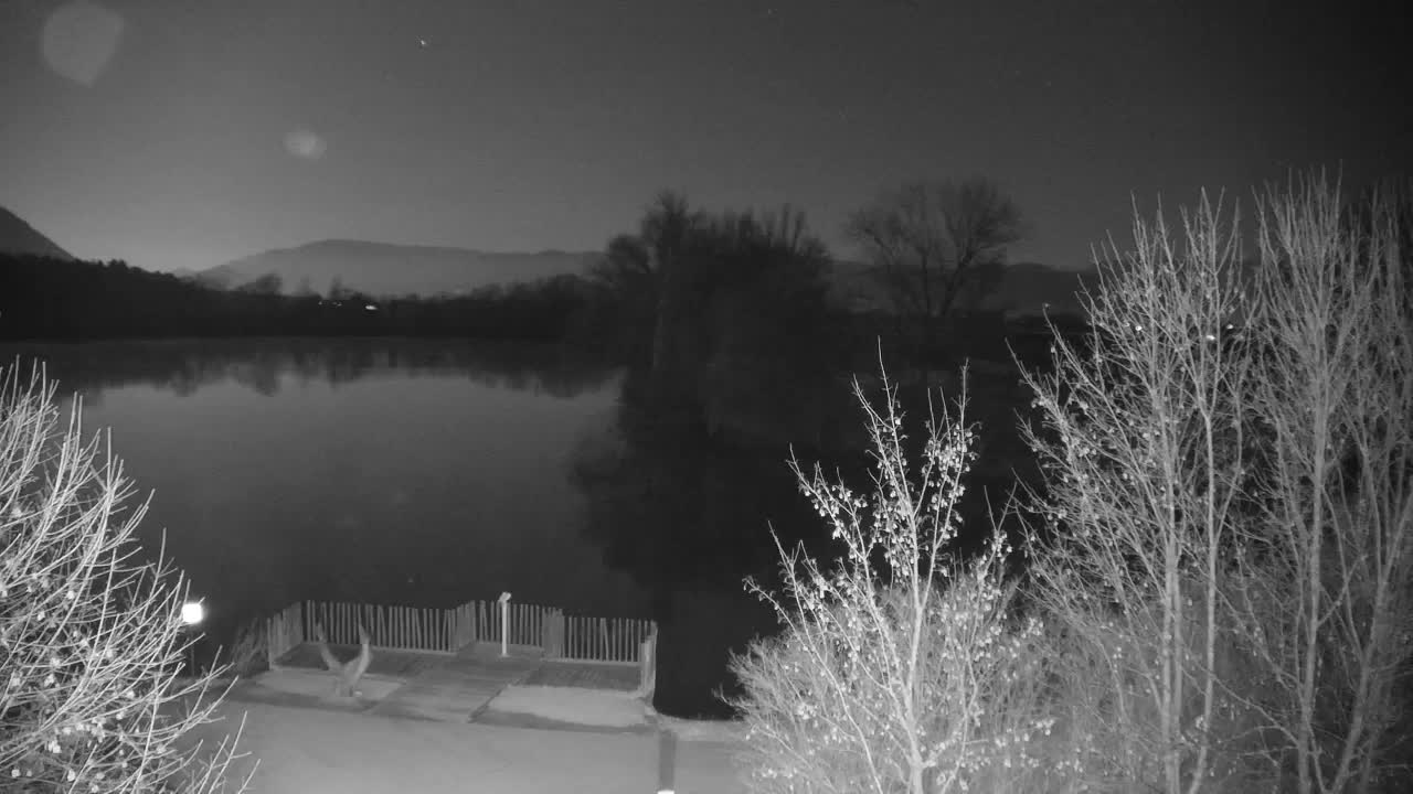 Web kamera Ribnik Vrbje – Žalec