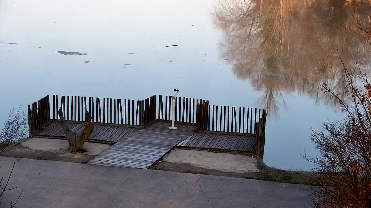 Webcam Ribnik Vrbje – Žalec