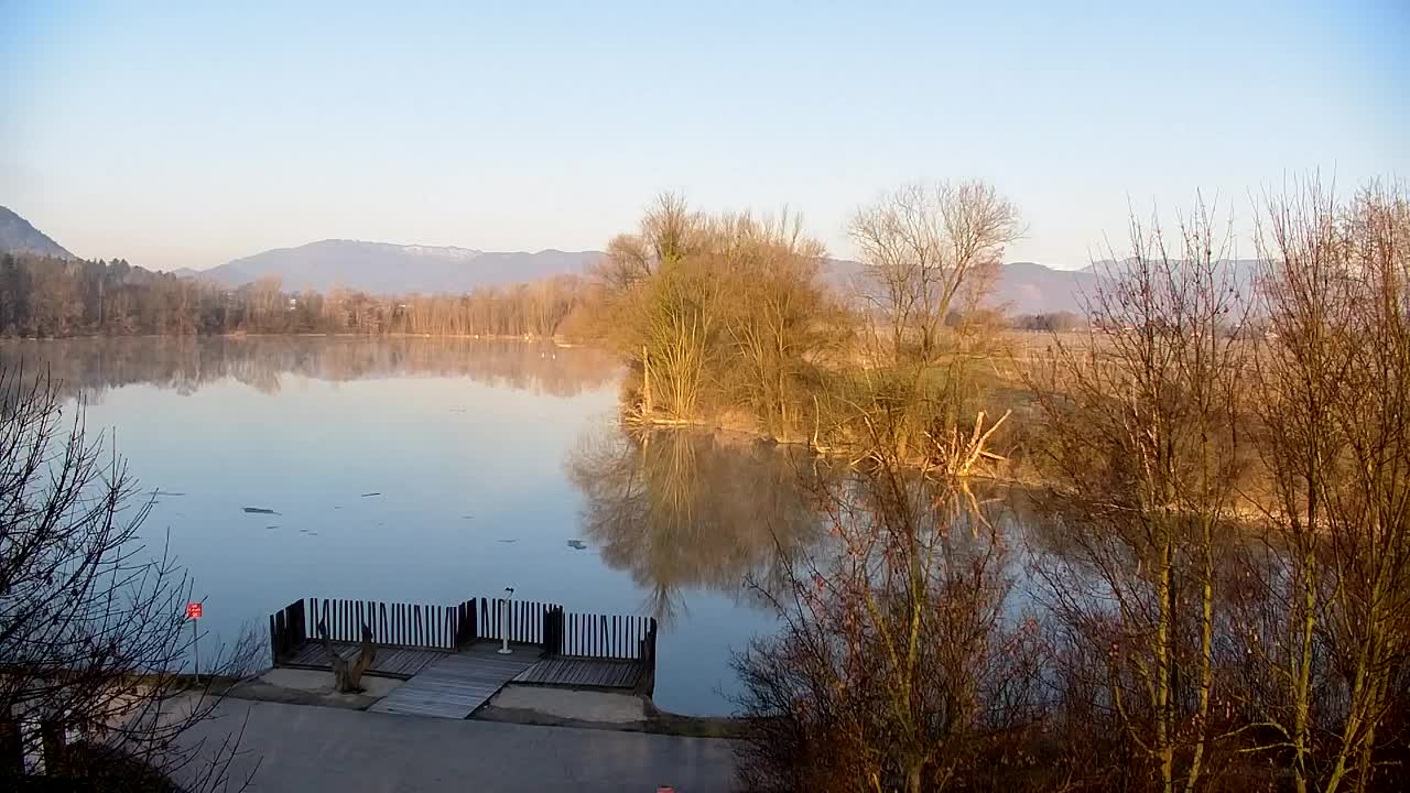 Webcam Ribnik Vrbje – Žalec