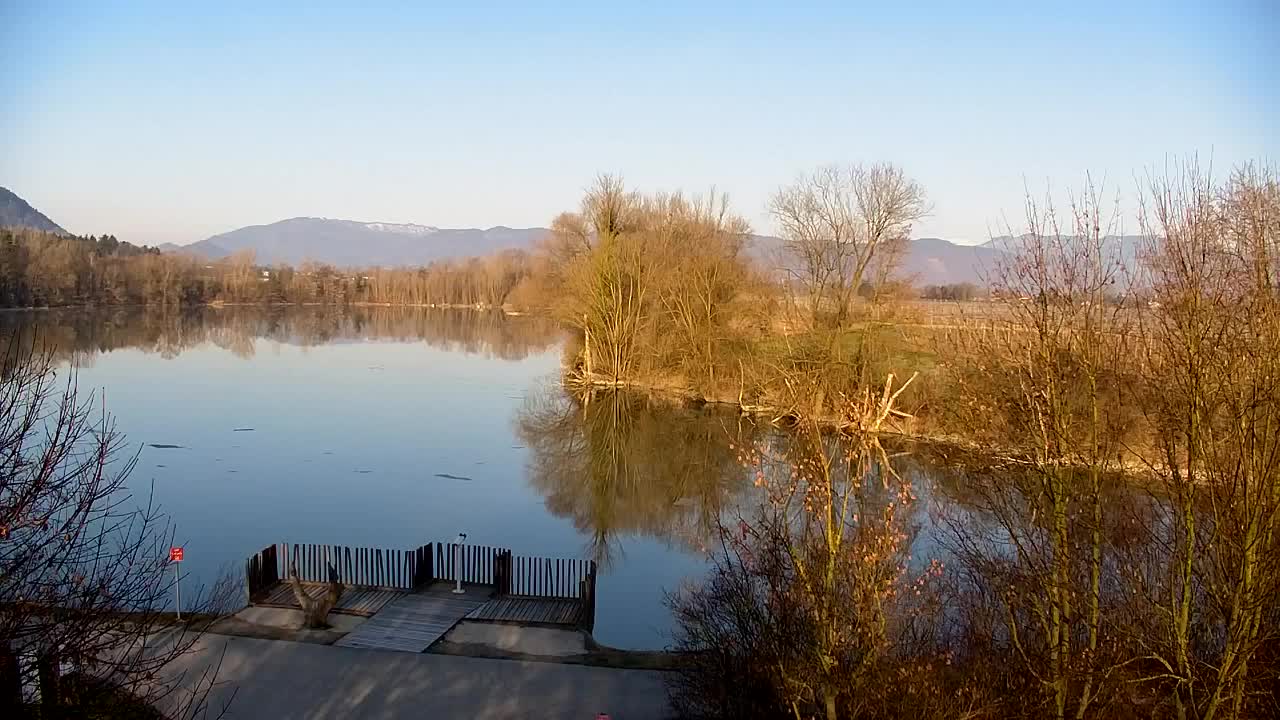 Webcam Ribnik Vrbje – Žalec