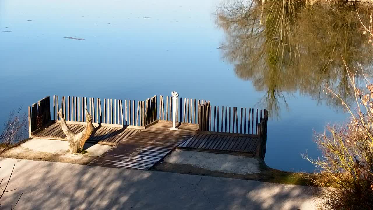 Spletna kamera Ribnik Vrbje – Žalec