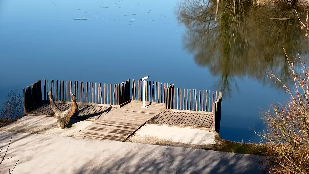 Spletna kamera Ribnik Vrbje – Žalec